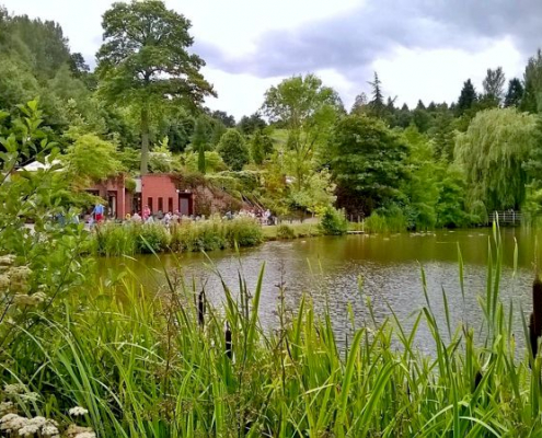 Bodenham Arboretum